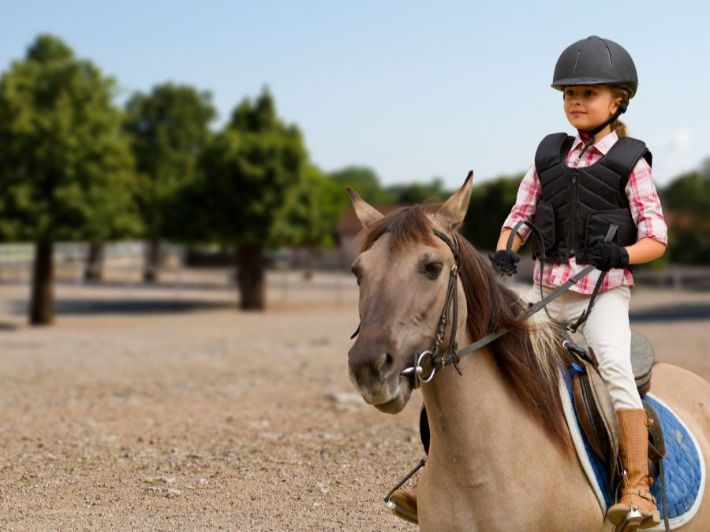 خيل عربي وفرسان - عيادة النخبة للخيل